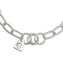 Stainless Steel Dog Collar Anti-Bite Chain Leash For Large/Medium/Small Dogs - Silver - View 6