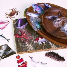 56 piezas Nuevas pegatinas realistas de animales marinos - Calcomanías de peces de PET transparente de alta calidad para manualidades creativas - 56 piezas - Ver 8