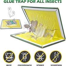 5pcs, 10pcs, 20pcs MOUSETRAP RATS STRONG GLUE STRONG GLUE FLAVOR LEP BUY-TRAP 24x17 SIZE. Flere Sticky Insect Trap. - A - View 4