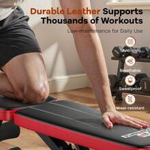 FLYBIRD Basic Weight Bench For Home Gym, 8 Backrests Adjustable Bench With 660LBS Weight Capacity For Chest Shoulders Arms Muscles, Foldable And Compact For Small Space Apartment Room - 經典黑 - 查看 7