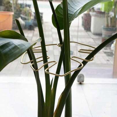 1pc Metal Turtle Shell Leaf-Shaped Plant Support - Monstrous Clip To Assist Plant Growth, Suitable For Climbing, Potted And Garden-Grown Plants, Turtle Shell Bamboo Clip - Plant Support, Plant Gathering Growth Stabilizer. Durable Turtle Shell Bamboo Stabilizing And Supporting System To Help Plants Grow Healthily. Belongs To Climbing Plant Trainer, Plant Growth Support, Outdoor Garden, Plant Support Structure, Climbing Plant Support, Metal Stabilizer, Home Decor, Green Plants