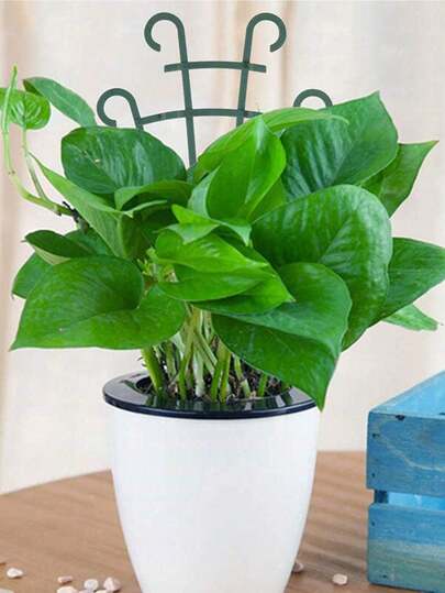 多功能棚架支撑架，攀爬支撑架，适用于花卉、藤蔓、蔬菜、园林植物