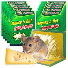5pcs, 10pcs, 20pcs MOUSETRAP RATS STRONG GLUE STRONG GLUE FLAVOR LEP BUY-TRAP 24x17 SIZE. Flere Sticky Insect Trap. - A - View 7