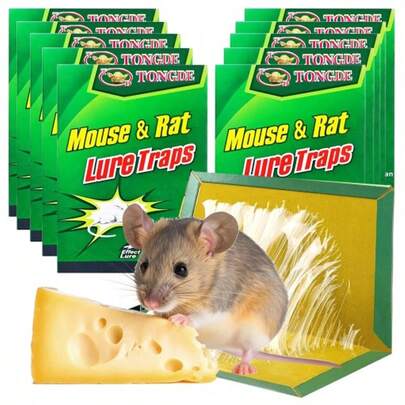 20 x MUIZENVAL VOOR RATTEN MET STERKE LIJM. STERKE LIJM MET LEP-SMAAK. VAL 24x17 CM. Flere Kleverige Insectenval.