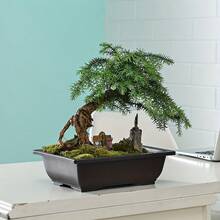 1个仿真紫砂多肉植物花盆，户外花园景观花盆，长方形种植托盘，方形花盆，带托盘的仿真紫砂塑料花盆，适用于仙人掌和其他植物，室内/室外均可使用，易于养护，现代/传统风格盆栽 - 花盆 - 查看 6