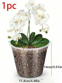 1个透明育苗盆，带排水孔和透气孔，透明兰花种植盆，柔韧塑料育苗盆，花园花盆，种子萌发盆 - A - 查看 10