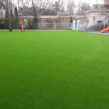 【免维护】人造草坪地毯 - 阳台庭院装饰仿真草坪垫 - 户外花园露台景观绿色地毯,易于安装人造草坪 - 家居阳台装饰仿真草坪地毯,真正的人造草坪地毯 - 庭院庭院装饰仿真草坪垫,人造草坪地毯 - 阳台户外装饰仿真草坪 - 翠綠背膠2.0 - 查看 13