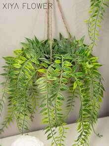 1/2片人造悬挂桉树叶，聚酯纤维材质，人造植物，两种形状可选（A和B），绿色装饰，四季皆宜，适用于学校宿舍、办公室、派对、生日、家居装饰、酒店、餐厅、客厅、卧室、婚礼、厨房和花园装饰，情人节礼物 - 綠色 - 查看 12