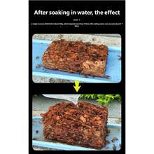 Coco Coir Bricks, High-Quality Coconut Fiber Bricks, Organic Peat Moss, Used For Planting, Gardening, Potting Soil Medium - A - View 6