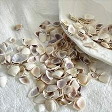 100g/200g Mini Melon Seed Shell - Shell Collection Drifting Bottle Fish Tank Landscaping, Ocean Style Handmade Necklace Shell Sticker DIY Material - A - View 7