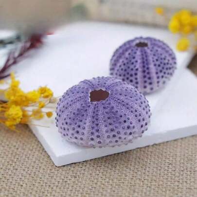 1 pieza Púrpura Erizo de Mar | Changhong Erizo de Mar - Adecuado para decoración de cerámica de piña de aire DIY y decoración de estilo océano creativo para el hogar, adornos para entusiastas de la artesanía, decoración de acuario de pecera