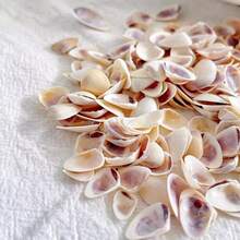 100g/200g Mini Melon Seed Shell - Shell Collection Drifting Bottle Fish Tank Landscaping, Ocean Style Handmade Necklace Shell Sticker DIY Material - A - View 1