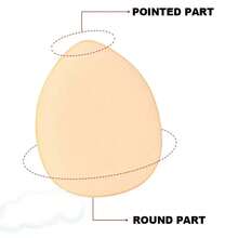 5/10pcs Mini Finger Sponge Puff, Foundation Liquid, Cushion Powder, Concealer, BB Cream, Makeup Tools - Multicolor - View 5