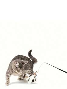 四节可伸缩猫玩具逗猫棒，带人造羽毛，可伸缩逗猫棒，适合幼猫和成猫互动玩耍，塑料材质，无需充电或电池 - 查看 5