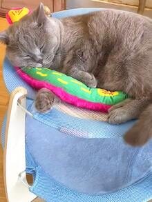 1 pieza Nuevo muñeco de peluche de pez tropical arrugable y resistente a masticar con catnip, suave y largo de 50 cm, adecuado para gatos pequeños/medianos/grandes y pequeños/medianos, para autoentretenimiento, entrenamiento, alivio del aburrimiento y anti-destrucción - Multicolor - Ver 4