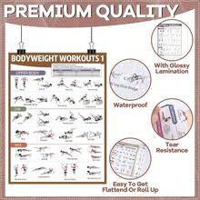 6PCS Workout Posters Home Gym Dumbbell Bodyweight Stretching Workout Exercise Chart - Cổ điển - Xem 4