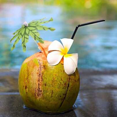50pcs/Set Coconut Leaf Drink Umbrellas, Coconut Tree Umbrella Toothpicks, Exquisite Flamingo Fruit Picks, Disposable Premium Drink & Dessert Decoration For Beverages, Fruits, Paper Cup Cakes, Beach Party