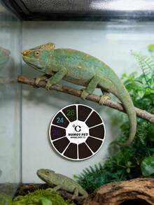 1pc Fish Tank/Reptile Temperature Sticker, Suitable For Aquarium, Turtle, Lizard, Reptile, Outdoor Greenhouse, Greenhouse - Patch Type - View 8