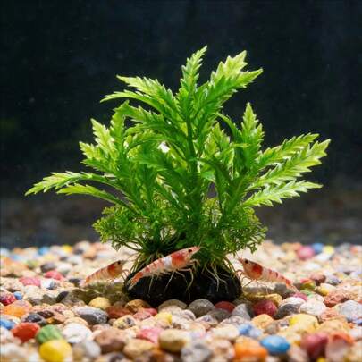 Realistic Green Aquatic Plant Decor For Fish Tank, Vivid Artificial Underwater Plants, Fake Water Grass, Suitable For Fish Tank Decoration, Material, Compatible With Large Aquariums, Aquarium Decor, Fish Tank Landscaping, Soft Fake Water Grass Plastic Plants, Slouchy Person Backdrop Ornament