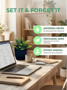 人造花盆/盆栽。适用于放置于汽车、办公室、书架、壁柜、浴室、厨房、卧室及其他各种场所。款式随机发货。 - 隨機顏色 - 查看 4