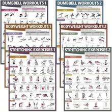 6PCS Workout Posters Home Gym Dumbbell Bodyweight Stretching Workout Exercise Chart - Cổ điển - Xem 2