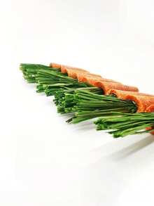 3个装可爱胡萝卜造型小型宠物磨牙玩具，适用于仓鼠、刺猬、兔子等小型宠物，采用合成纤维制成，无需电池 - 查看 4