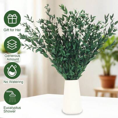 保鲜嫩叶，适合卧室和客厅装饰