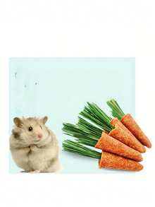 3个装可爱胡萝卜造型小型宠物磨牙玩具，适用于仓鼠、刺猬、兔子等小型宠物，采用合成纤维制成，无需电池 - 查看 5