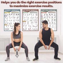 6PCS Workout Posters Home Gym Dumbbell Bodyweight Stretching Workout Exercise Chart - Cổ điển - Xem 7