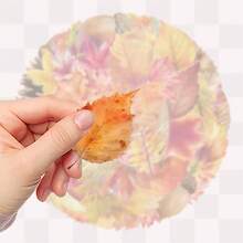 SCXXBSW 50pcs Autumn Stickers, Cute Cartoon Stcikers For DIY Purposes Such As Skateboarding, Water Bottles, Laptops, And Mobile Phones - A - View 5