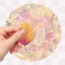 SCXXBSW 50pcs Autumn Stickers, Cute Cartoon Stcikers For DIY Purposes Such As Skateboarding, Water Bottles, Laptops, And Mobile Phones - A - View 4
