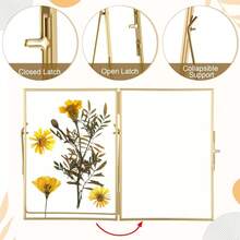 Pack Glass Pressed Flower Frame Handmade, 5 X 7 Floating Picture Frames For Pressed Flowers, Brass Double Glass For Tabletop Display, Home Office Plant Specimen, Photos(Gold) - Gold5x7inches - View 4