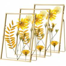 Pack Glass Pressed Flower Frame Handmade, 5 X 7 Floating Picture Frames For Pressed Flowers, Brass Double Glass For Tabletop Display, Home Office Plant Specimen, Photos(Gold) - Gold5x7inches - View 1