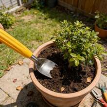 Pequeña paleta de deshierbe de 9 pulgadas con borde dentado, paleta de acero inoxidable para excavar, plantar y aflojar plantas - Ver 4