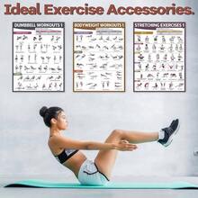 6PCS Workout Posters Home Gym Dumbbell Bodyweight Stretching Workout Exercise Chart - Cổ điển - Xem 8
