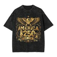 Novelty Men Women 250 Years American Anniversary Tee Shirt Cotton Washed T Shirts Outfits - màu đen - Xem 1