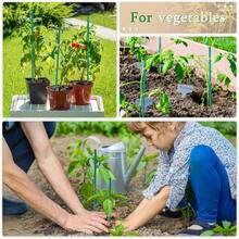 Plant Stake 17 Inch SupKing Wood Plant Sticks 30 Packs Orchid Stakes Sturdy Green Bamboo Plant Support Stake Gardening Floral Potted Plant Support - Green - View 5