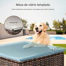 Conjunto de sofá de patio al aire libre, sofá seccional de conversación de mimbre de polietileno y ratán con mesa de centro de vidrio para porche, patio y piscina. - Albaricoque - Ver 5