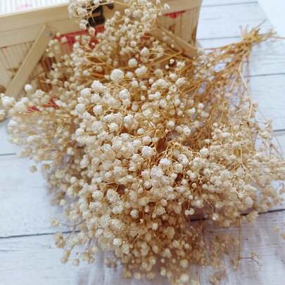 40g/80g/100g Ramo de flores de Nube de Bebé, Ramo de flores colorido, para arreglos florales en el hogar, decoración de lugares de bodas, estudio, dormitorio, entrada, cafetería, suministros para floristerías, elaboración de mini ramos, corona y ramo de Nube de Bebé, suministros para arte de resina con flores prensadas en florero flotante