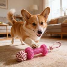 Pet Rope Tug Toy:Durable Interactive Fun For Dog - Multicolor - View 5