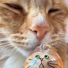 1个透明亚克力猫毛收纳装饰品，宠物毛发纪念钥匙扣，汽车内饰挂饰，宠物爱好者配饰礼品 - A - 查看 3