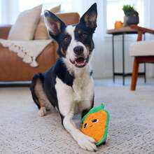 Outward Hound Tough Skinz Durable Squeaky Dog Toy With Two Tough Layers, Carrot, Multicolor, Medium - MàuB - Xem 5