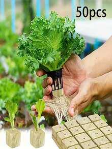 25/50/100pcs Leaf, Vegetable, Fruit, Flower, Tree Seedling Soilless Cultivation Substrate, Hydroponic Propagation Rockwool Grow Cubes, Agricultural Use - A - View 3