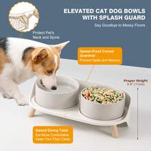 Upgraded Ceramic Dog Bowl Set - Dual Layer With Stand - Splash-Proof Food & Water Bowls - Microwave & Dishwasher - Neck-Protecting Design - Suitable For Small To Medium - 2pcs 850ml (28.74oz) - 850ml * 2 - View 6