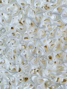 Bead Spacers 100/200 Pcs Shell, Star, Teardrop, Flower And Other Shapes Pearly Jewelry Crafts - Star-shaped Bead - Approx. 14mm - View 3