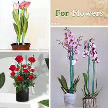 Plant Stake 17 Inch SupKing Wood Plant Sticks 30 Packs Orchid Stakes Sturdy Green Bamboo Plant Support Stake Gardening Floral Potted Plant Support - Green - View 4