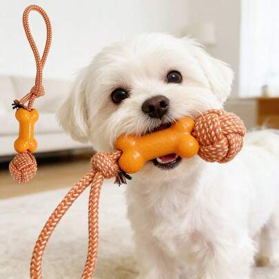 Durable Interactive Dog Leash Toy