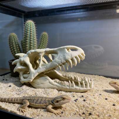 3D Dinosaur Skull Aquarium Decor, Fish Hiding Cave, Reptile Habitat Decoration, Realistic Skull Suitable For Fish Tank And Aquatic Plant Landscape