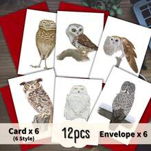 12pcs Owl Themed Greeting Cards With Envelopes, Fun Birthday Cards Suitable As Gifts For Anyone - A - View 4