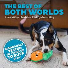 Outward Hound Tough Skinz Durable Squeaky Dog Toy With Two Tough Layers, Carrot, Multicolor, Medium - MàuB - Xem 2